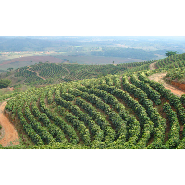 Brazil SANTA MARIA — BR.SA