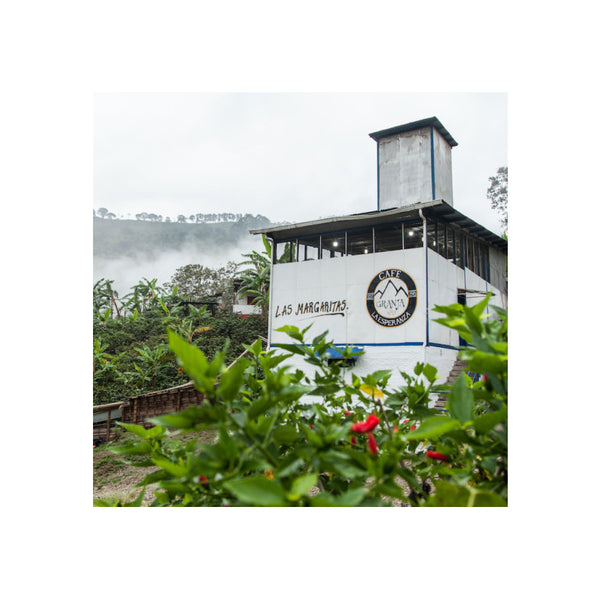 Colombia TRES DRAGONES 55h Natural — CO.TR