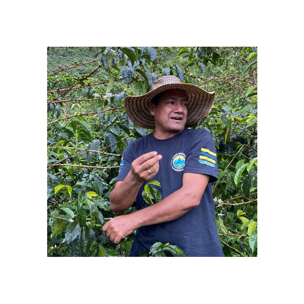 Colombia TRES DRAGONES 55h Natural — CO.TR