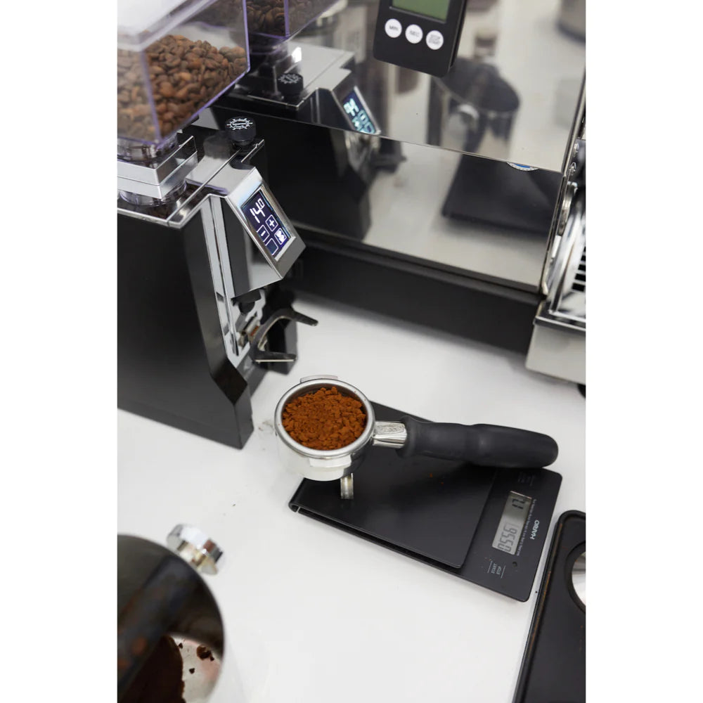knave キャンバス　kataki msc taboo1 qp Espresso mokymų