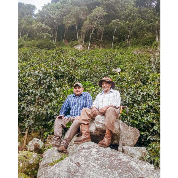 Honduras FINCA EL JARDIN Anaerobic — HN.JA — #standwithukraine🇺🇦