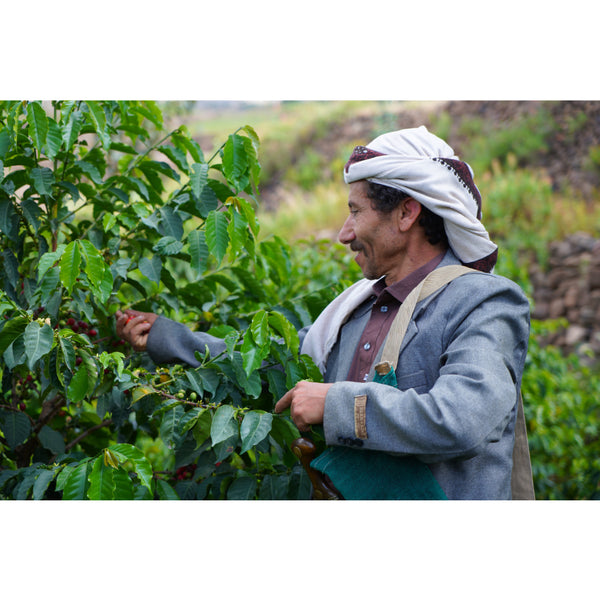 Yemen AL MAHJAR & BAIT HUJAIRAH — YE.MA