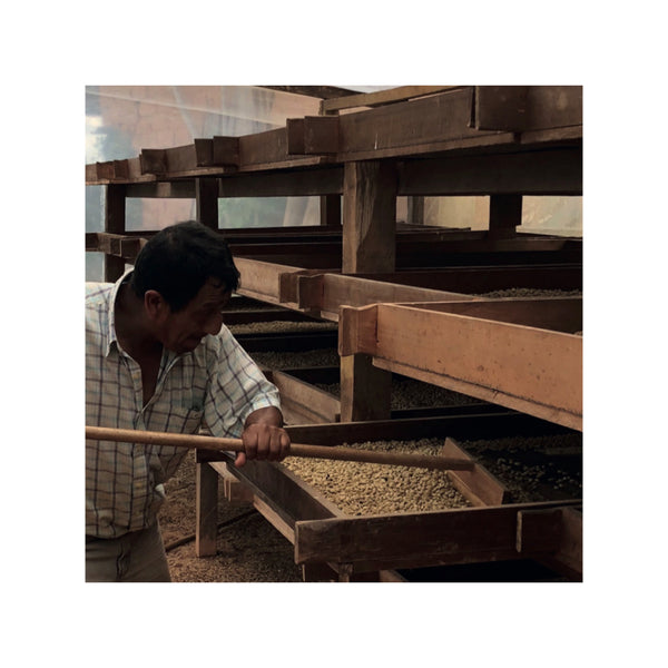 Perú SOL Y CAFÉ — PE.SO