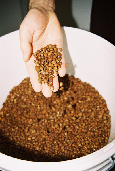 Ethiopia HARU — ET.HA