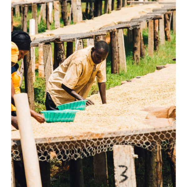 Burundi MUYINGA — BI.MU — #standwithukraine🇺🇦