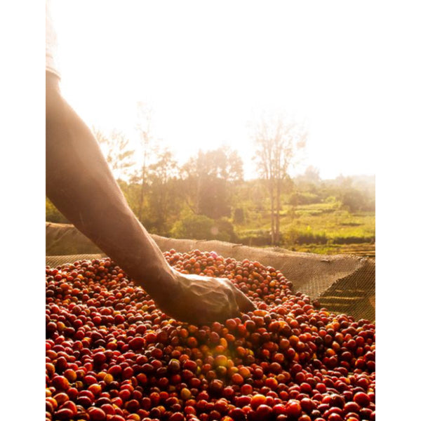 Burundi RUMANDA — BI.RU — #standwithukraine🇺🇦