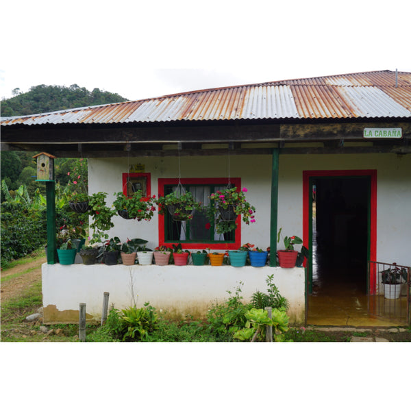 Colombia DANILO PÉREZ LA CABAÑA — CO.DA