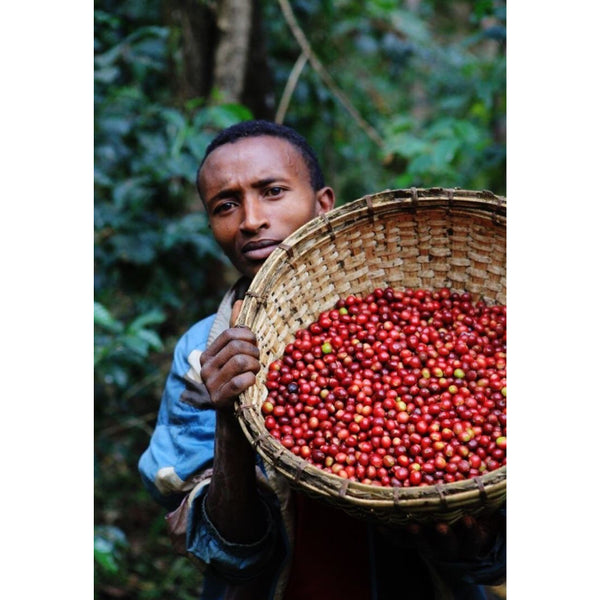 Ethiopia GIRUM GIRMA — ET.GI