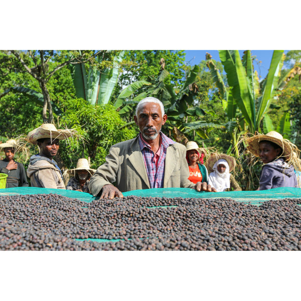 Ethiopia TADESE TEKO — ET.TE